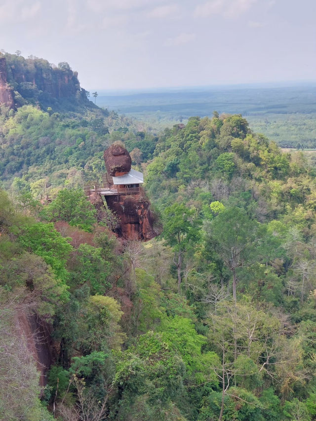 ภูทอก – เหนื่อยแต่โคตรคุ้ม!
