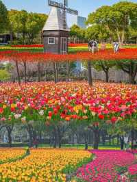 Lu Xun Park: A Tranquil Tribute to Shanghai's Literary Heart