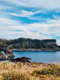 A Must-Visit Natural Wonder: Oedolgae Rock in Seogwipo