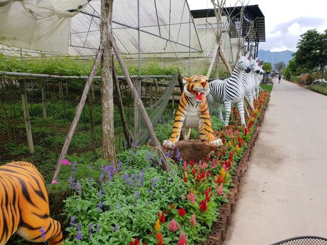 ไร่ทรัพย์หมื่นแสน ใหญ่และอลังการในแจ้ห่ม ลำปาง