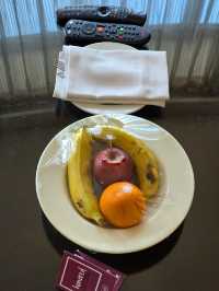 HILTON JAIPUR CITY || "I do love it"