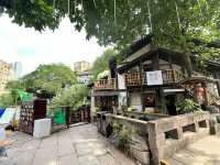 Wandering Through Longmenhao & Xiahaoli — Hidden Charm by the Yangtze