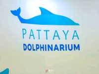 Title: Dive into Delight: A Day at Pattaya Dolphinarium