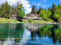 瑞士藍湖 Blausee，如畫一般的透藍翠綠絕景