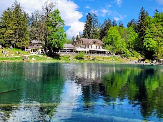 瑞士藍湖 Blausee，如畫一般的透藍翠綠絕景