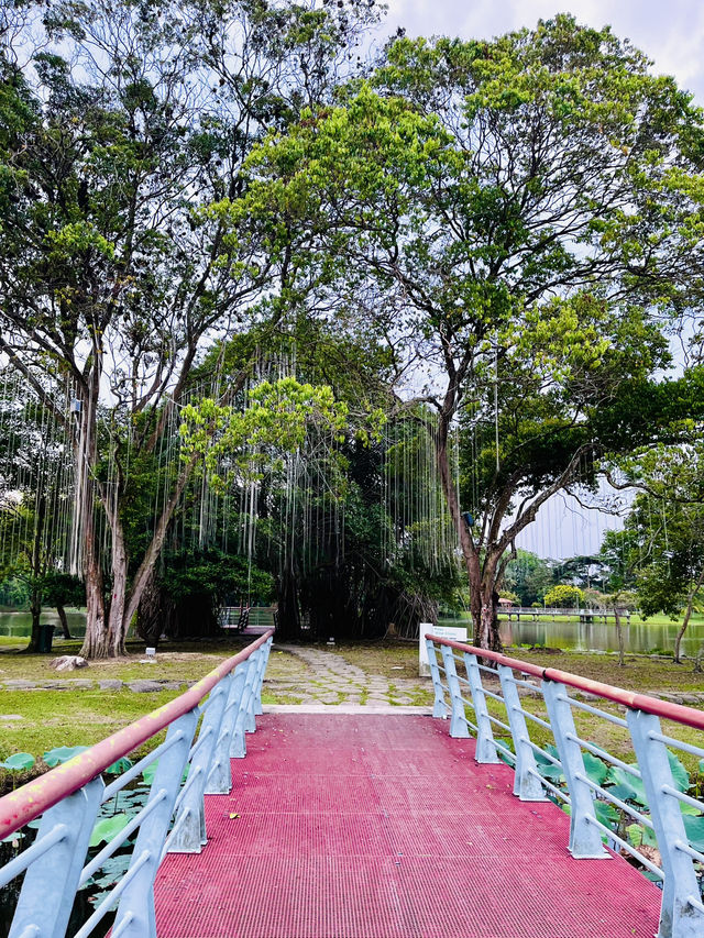 “Wind Chime Island: A Serene Escape”