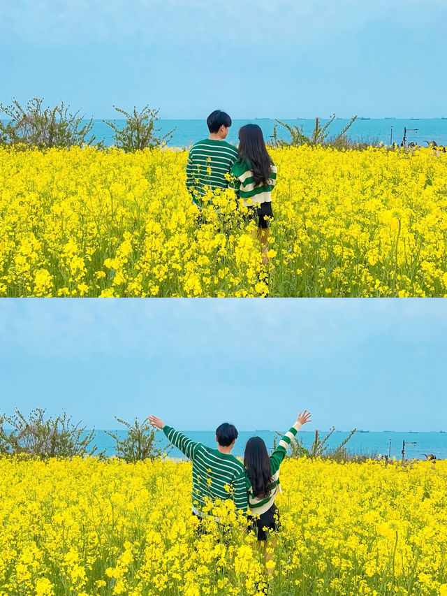 바다와 노란 물결을 한 눈에 담을 수 있는 명소