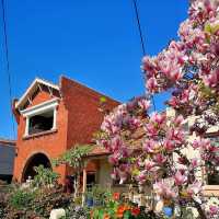 Why I Love Spring in Melbourne