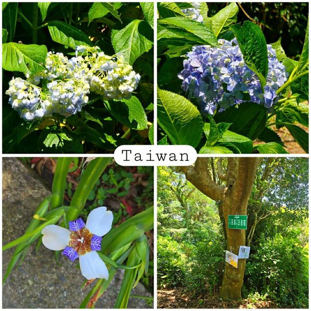 Yinghanling hiking trail 