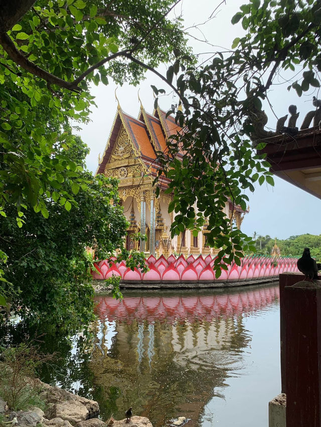 ✨💙A Temple to Visit in Koh Samui💙✨