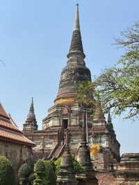 7 Days in Bangkok