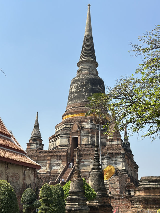 7 Days in Bangkok