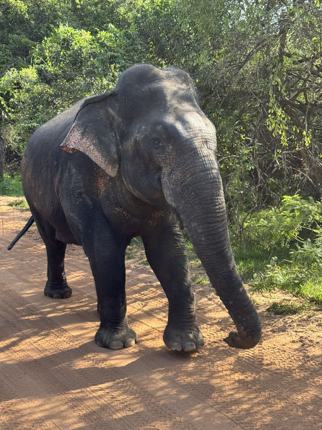 2 Days in Badulla – A Journey Through Nature and Culture