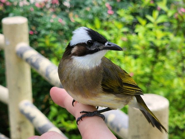 上海動物園一日遊