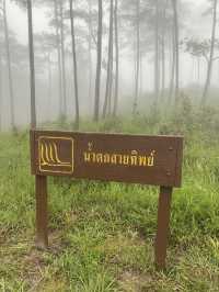 ภูสอยดาว หนาวเกินต้านนน