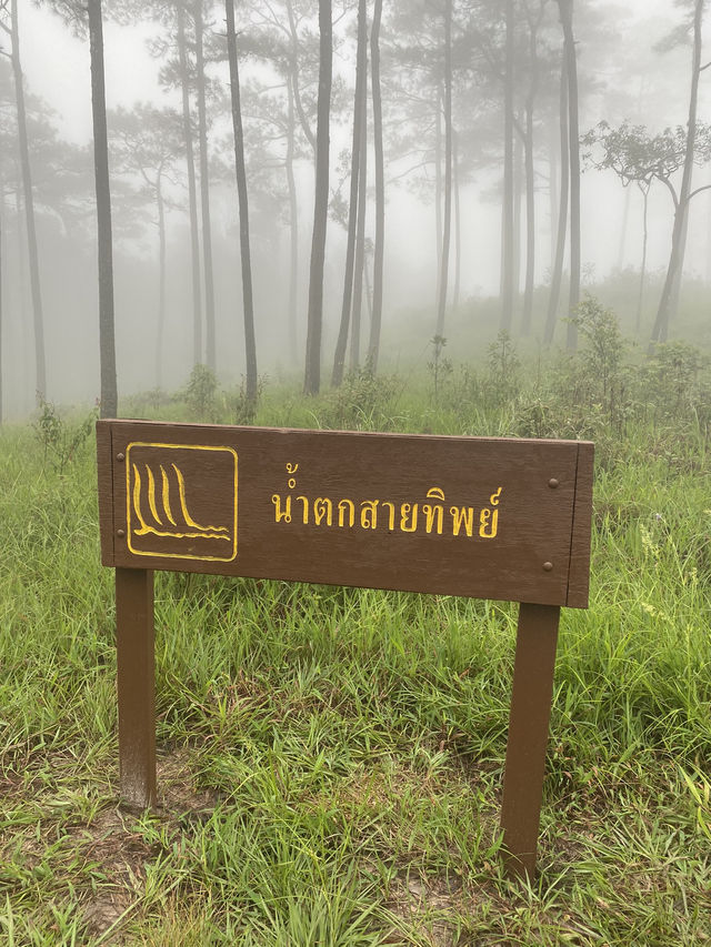 ภูสอยดาว หนาวเกินต้านนน