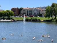 A Morning of Magic: Discovering the Palace of Fine Arts in Spring