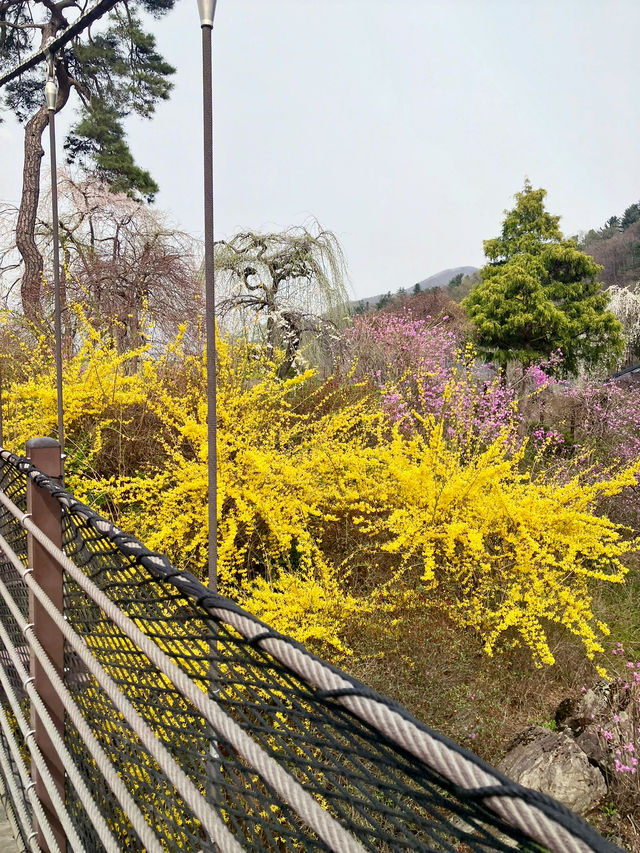산책하기 좋은 힐링 야외데이트🌲