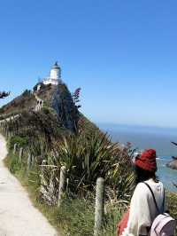 📍紐西蘭。南島【海風與金塊之歌】Nugget Point：在世界的邊緣與自然共舞