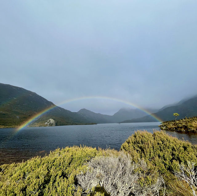 Dove Lake: Where Reflections Come to Life