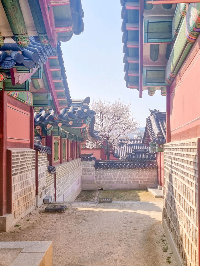 💕청덕궁 가족과 함께 거닐기 좋은 곳 🌲