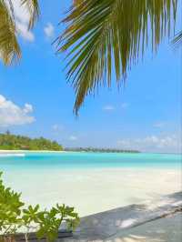  The Nautilus Maldives Resort: Your Private Island Dream, Unscripted 🌊