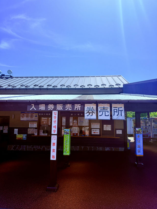 穿越僻靜山谷的高空吊橋