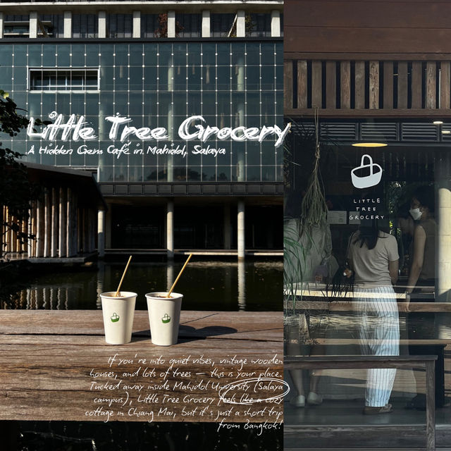 🌿✨ Little Tree Grocery
