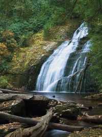 Appalachian Trail – USA 