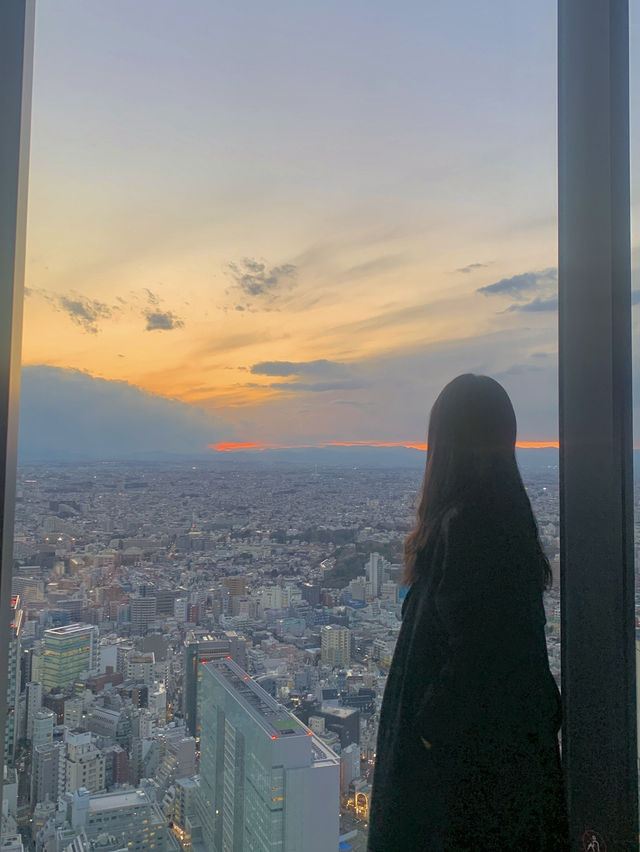시부야에 가면 꼭 가야 하는, 시부야스카이
