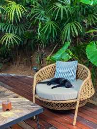 🌳Three Monkeys  – ร้านอาหารกลางป่าที่ดีต่อใจ