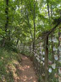 이번 주말 가야 할 동화감성 샤스타데이지 명소🌼