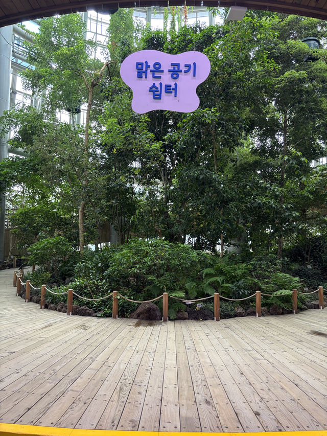 장마철 대비해서 아이들과 나들이 가기 좋은 곳☔️