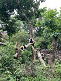 🌍 Exploring China – Nature on Steroids!