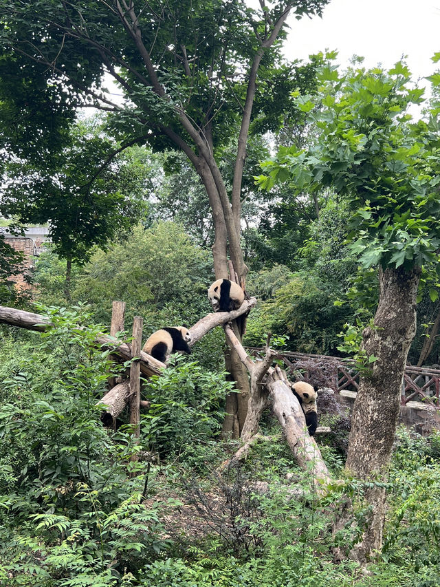 🌍 Exploring China – Nature on Steroids!