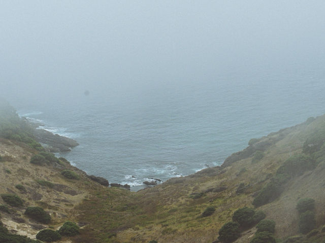 🇳🇿北島Cape Reinga｜走到紐西蘭最北端