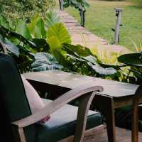 “อารีแลนด์” (Aree Land) : โครงการปลูกป่า