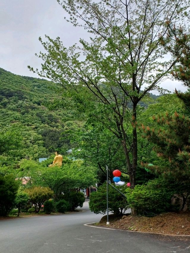 꽃그늘 아래 혼자 머물고 싶은 날