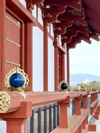 A Relaxing Day in Nara – Where History Meets Art