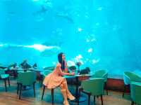 Deep Sea Cafeteria