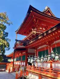 A Peaceful Day at Kasuga Taisha Shrine 🦌