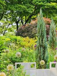 Hullyeonwon Park: A Historic Oasis in Seoul