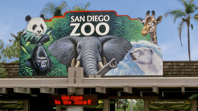 聖地亞哥動物園