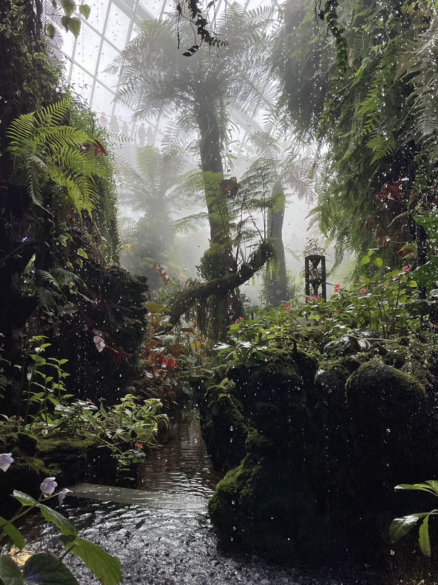 🌳 미래 속 정원, 싱가포르 가든스 바이 더 베이 🌿🌟