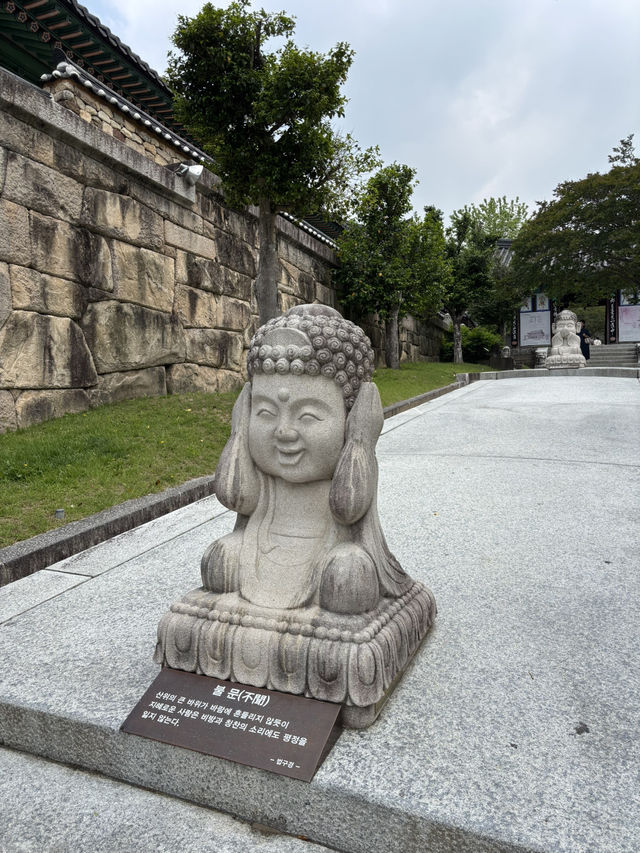인생사진 찍을 수 있는 구례 화엄사🫡