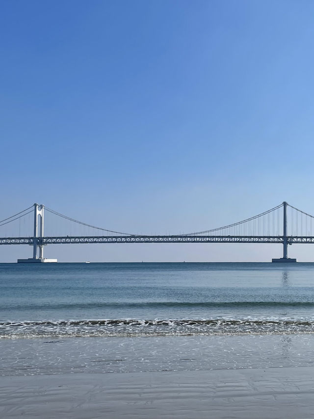 🌤️ 부산 바다와 함께하는 하루, 감성 충전 코스