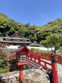 【大阪箕面】新緑の時期に箕面の滝を満喫🌿