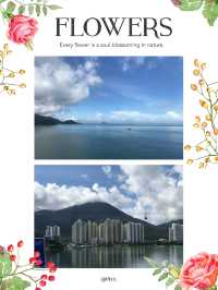 世紀工程：游港珠澳大橋