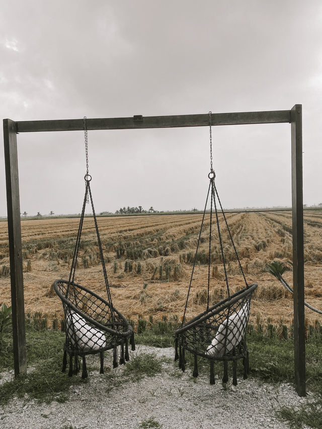 Nature Escape: A Staycation by the Paddy Fields 🌾