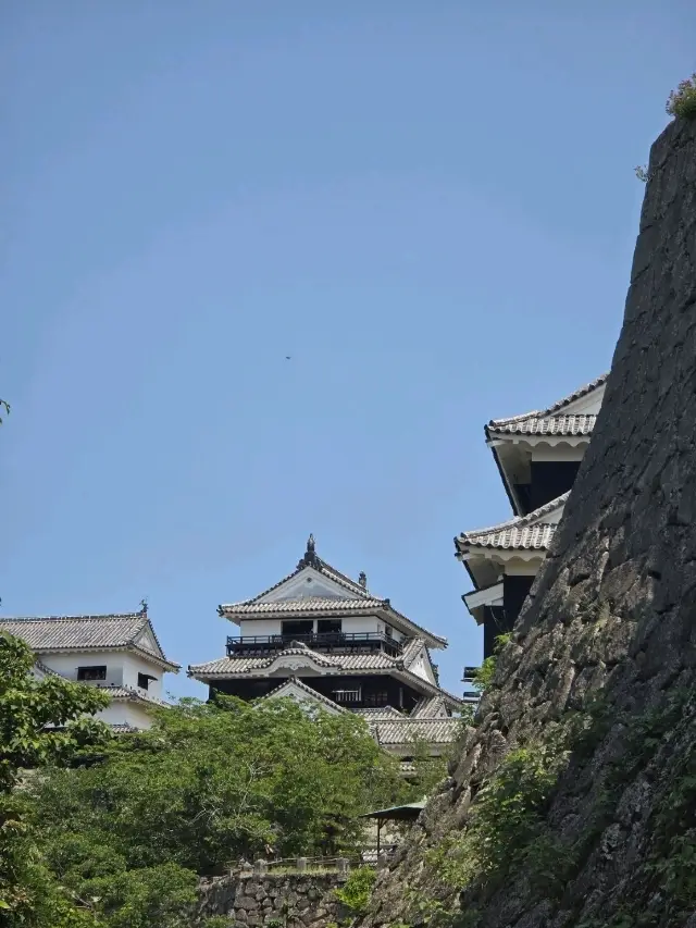 ✨ 일본 마쓰야마 여행기 ✨